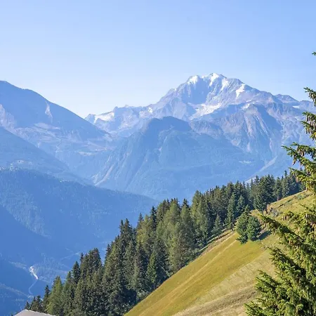 Chalet Collini Riederalp