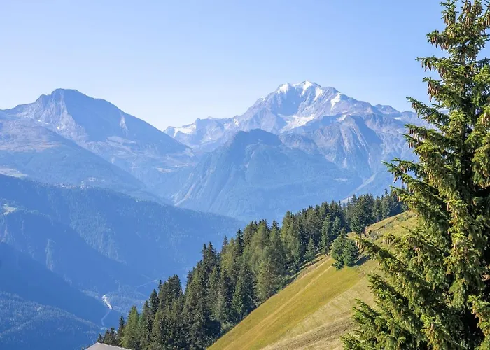 Chalet Collini Riederalp