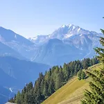 Chalet Collini Riederalp